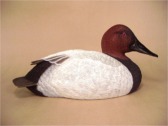 Shaker Prairie Shop | Standard Canvasback Duck