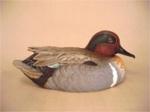 Shaker Prairie Shop | Green Winged Teal Duck