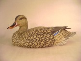 Shaker Prairie Shop | Standard Mallard Hen
